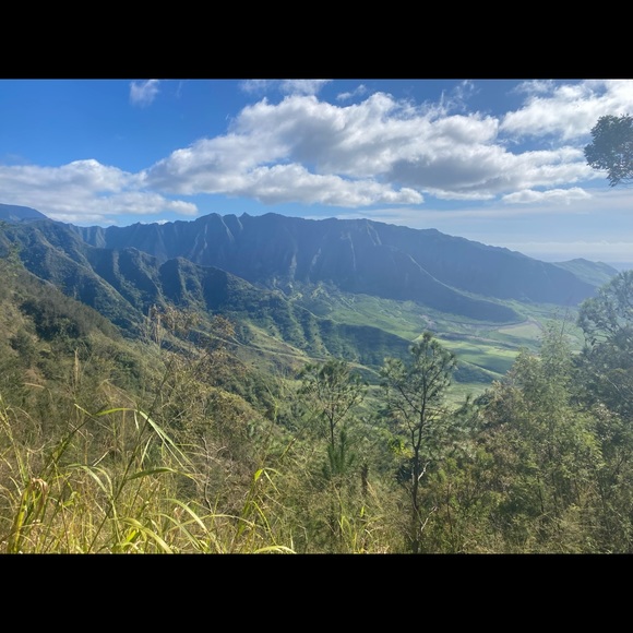 Meet your Posher, Kim - Picture 1 of 1